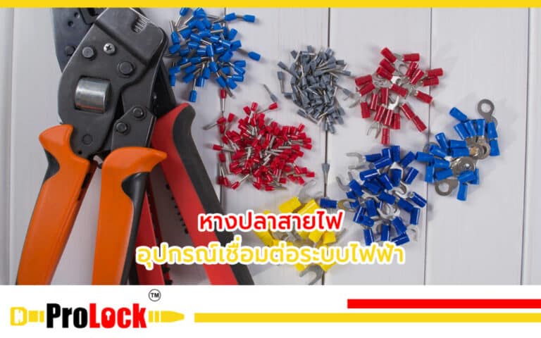 หางปลาสายไฟ-1024x640 (1)