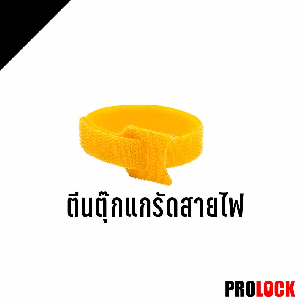 ตีนตุ๊กแกรัดสายไฟ
