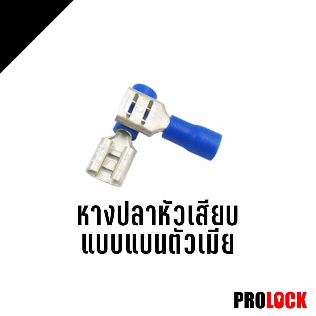 หางปลาหัวเสียบแบบแบนตัวเมีย